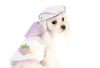 Enterizo estilo Francés 