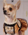 Vestido corte princesa